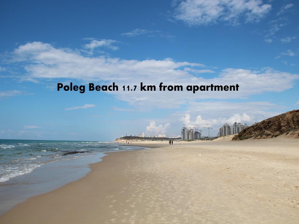 Kfar Saba View Apartment Room photo